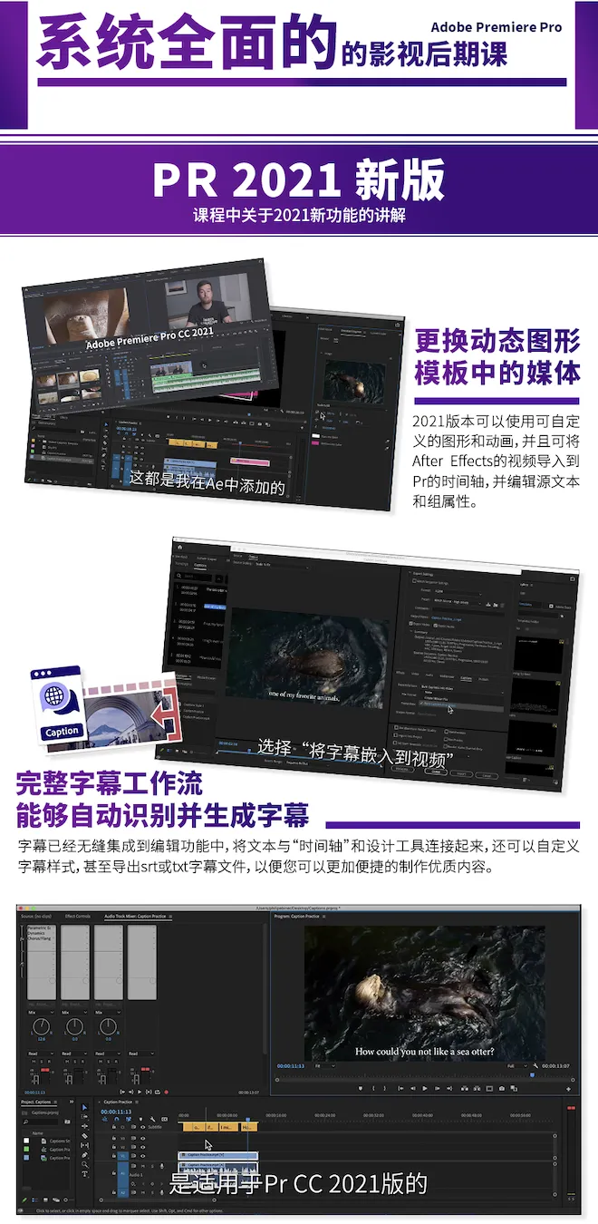 零基础精通premiere Pro 2021_视频教程培训_短视频,Premiere_VSO-站酷高高手