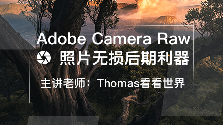 Adobe Camera Raw：照片无损后期利器